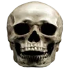 💀 Эмодзи «goofy zone» для Telegram