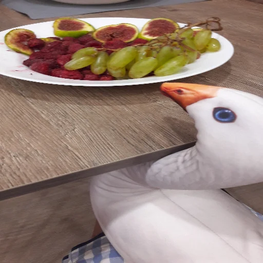 🍇 Стикер «Goose BLOPTOP» для Telegram
