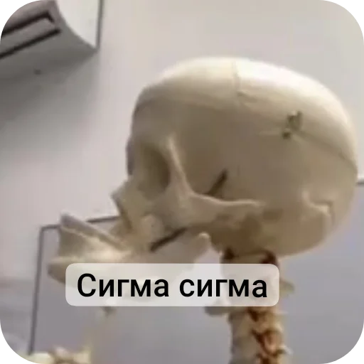 👍 Стикер «Господа скелеты» для Telegram
