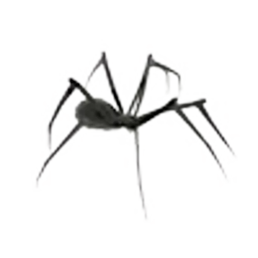 🕷️ Эмодзи «gothic vibes» для Telegram