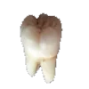 🦷 Эмодзи «𝔊𝔬𝔱𝔦𝔨𝔅𝔩𝔬𝔬𝔡𝔠𝔬𝔯𝔢» для Telegram