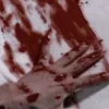 🩸 Эмодзи «𝔊𝔬𝔱𝔦𝔨𝔅𝔩𝔬𝔬𝔡𝔠𝔬𝔯𝔢» для Telegram