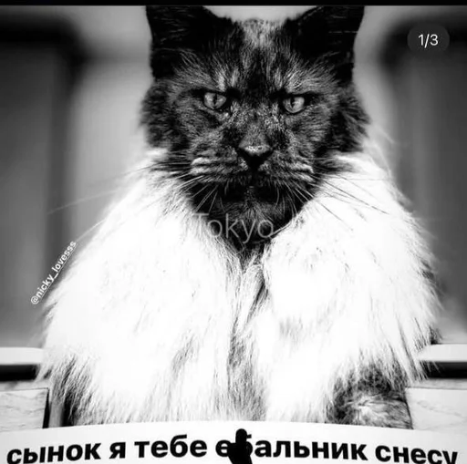 ❤ Стикер «We need to slay 2.0» для Telegram