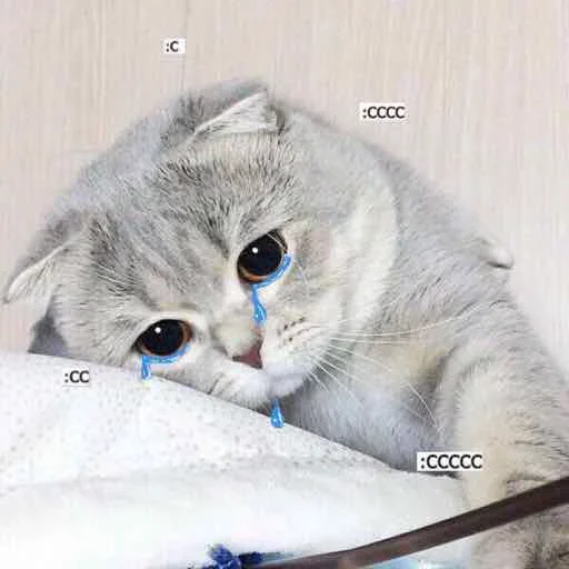 😭 Стикер «Стикеры одинокой бабули» для Telegram