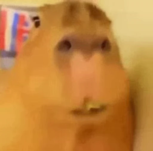 😚 Стикер «GrandPa Capybaras» для Telegram