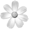 🌼 Эмодзи «gray» для Telegram