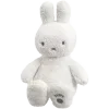 🌟 Эмодзи «gray» для Telegram