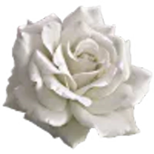 🪽 Эмодзи «gray» для Telegram