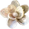 🤩 Эмодзи «gray #adaptive» для Telegram