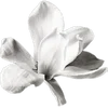 🌟 Эмодзи «gray» для Telegram