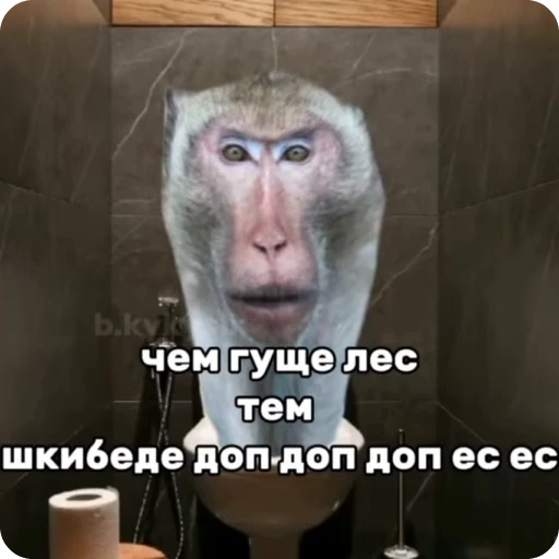 Стикерпак Манки Пон для Telegram — скачать