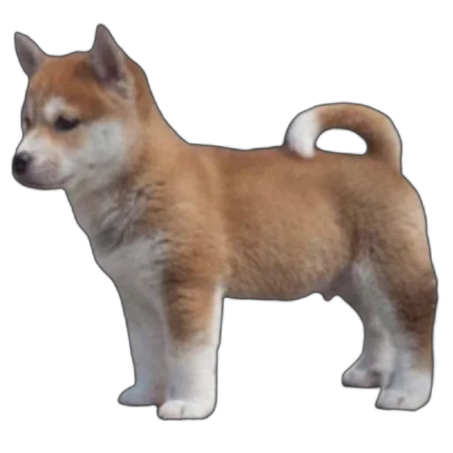 🐕 Стикер «запах весны» для Telegram