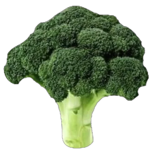 🥦 Стикер «запах весны» для Telegram