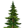 🌲 Эмодзи «Зелëный» для Telegram