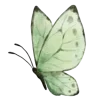 🦋 Эмодзи «Зелëный» для Telegram