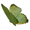 🦋 Эмодзи «Зелëный» для Telegram