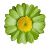 🌺 Эмодзи «Зелëный» для Telegram