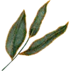 💕 Эмодзи «green witch» для Telegram
