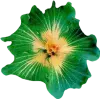 🤩 Эмодзи «green witch» для Telegram