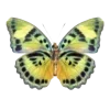 🦋 Эмодзи «green witch» для Telegram