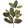 ☘️ Эмодзи «green witch» для Telegram