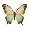 🦋 Эмодзи «green witch» для Telegram