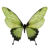 🌟 Эмодзи «green witch» для Telegram