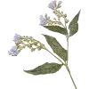 🌾 Эмодзи «green witch» для Telegram