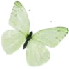 🦋 Эмодзи «૮꒰ ｡っ -｡꒱ఎ ⃝ ⊹ ◜ ♡ 𝅭» для Telegram