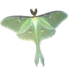🦋 Эмодзи «૮꒰ ｡っ -｡꒱ఎ ⃝ ⊹ ◜ ♡ 𝅭» для Telegram