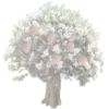 🌳 Эмодзи «૮꒰ ｡っ -｡꒱ఎ ⃝ ⊹ ◜ ♡ 𝅭» для Telegram
