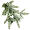 🌲 Эмодзи «green #color #green» для Telegram