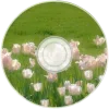🤩 Эмодзи «green #color #green» для Telegram