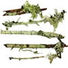 🪵 Эмодзи «green #color #green» для Telegram
