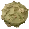 🎂 Эмодзи «green #color #green» для Telegram