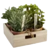 🪴 Эмодзи «green #color #green» для Telegram