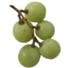 🍇 Эмодзи «green #color #green» для Telegram