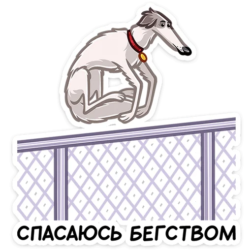 🏃‍♀ Стикер «Грэй» для Telegram