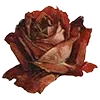 🌹 Эмодзи «🌟 Aesthetic» для Telegram