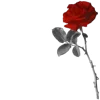 🌹 Эмодзи «🌟 Aesthetic» для Telegram