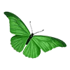 🦋 Эмодзи «Green Aesthetic» для Telegram