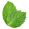 🌱 Эмодзи «Green Aesthetic» для Telegram