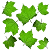 🍃 Эмодзи «Green Aesthetic» для Telegram