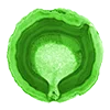 🪨 Эмодзи «Green Aesthetic» для Telegram