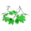 🍃 Эмодзи «Green Aesthetic» для Telegram