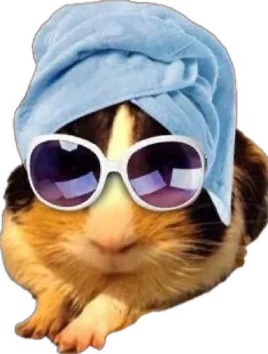 🤩 Стикер «(˶ᵔ ᵕ ᵔ˶)» для Telegram