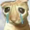 😭 Эмодзи «Kittens #kittens» для Telegram