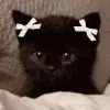 🤍 Эмодзи «Kittens #kittens» для Telegram