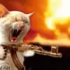 👹 Эмодзи «Kittens #kittens» для Telegram