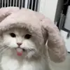 🐾 Эмодзи «Kittens #kittens» для Telegram